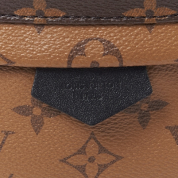 Louis Vuitton Palm Springs Backpack PM - Picture 8 of 13